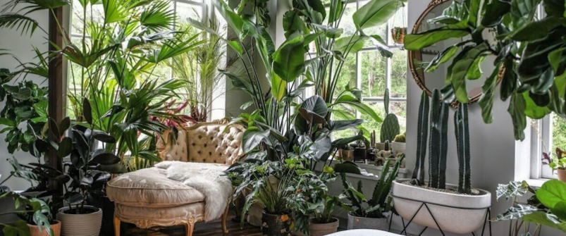 well-placed indoor gardens